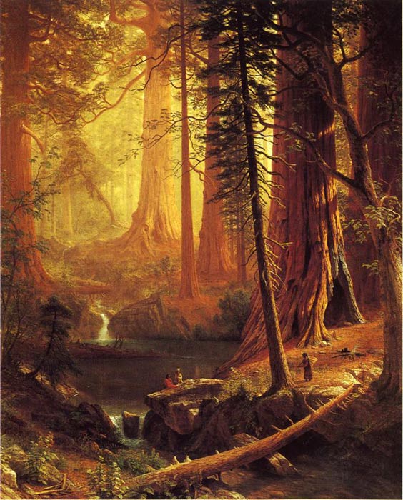 Gianat Redwood Trees of California aka great redwood , 1874	

Painting Reproductions