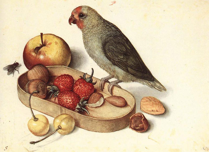 Still Life with Pygmy Parrot, Undated

Painting Reproductions
