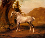 A Grey Stallion In a Landscape, c.1765
Art Reproductions