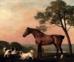A Bay Hunter With Two Spaniels, 1777
Art Reproductions