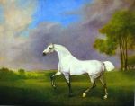 A Grey Horse, 1793
Art Reproductions