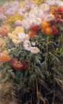 Chrysanthemums, Garden at Petit Gennevilliers, 1893
Art Reproductions