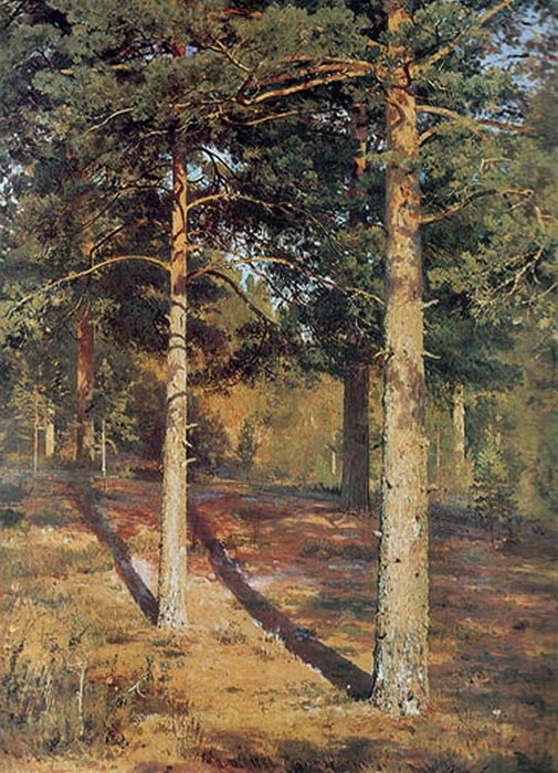 The Sun-lit Pines, 1886

Painting Reproductions