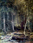 In the Forest
Art Reproductions