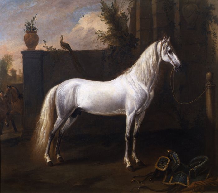 Grey Stallion tethered to a Post

Painting Reproductions