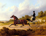 The Famous Trotter Confidence Drawing A Gig, 1842
Art Reproductions