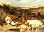 Mallard Ducks and Ducklings on a River Bank, 1863
Art Reproductions