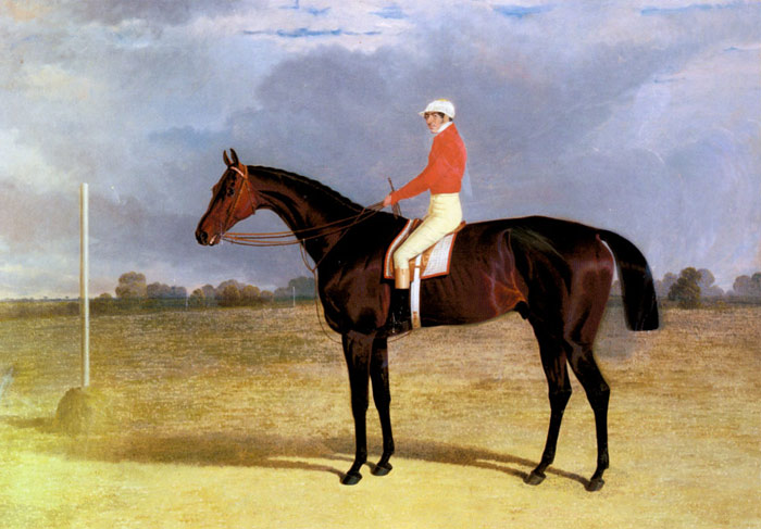 A Dark Bay Racehorse with Patrick Connolly Up, 1833

Painting Reproductions