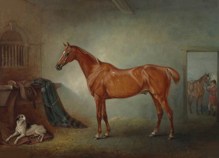 Lord Henry Bentinck's chestnut hunter 'Firebird', and 'Policy', a foxhound,in a loose box , 1845

Painting Reproductions