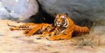 Tigers Resting
Art Reproductions