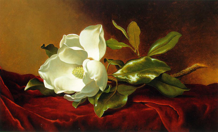 Single Magnolia on Red Velvet, c.1885-1895

Painting Reproductions