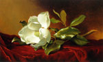 Single Magnolia on Red Velvet, c.1885-1895
Art Reproductions