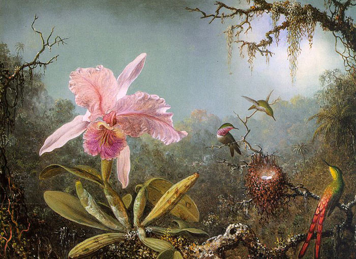 Cattleya Orchid and Three Brazilian Hummingbirds, 1871

Painting Reproductions