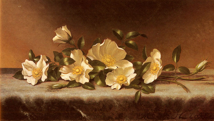 Cherokee Roses On A Light Gray Cloth

Painting Reproductions