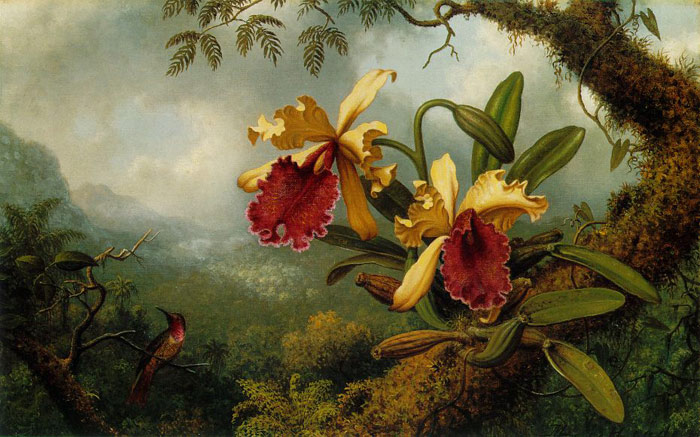 Orchids and Hummingbird, c.1875-1883

Painting Reproductions
