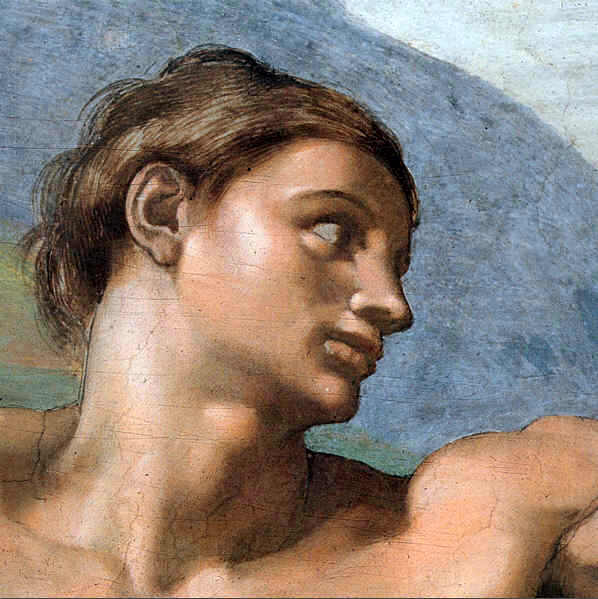 The Face of Adam ( Detail from the Scene Creation of Adam ))

Painting Reproductions