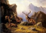 Deer in a Mountainous Landscape
Art Reproductions