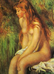Seated Bather, 1893
Art Reproductions