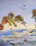 Dream Caused by the flight of a Bee around a Pomegranate
Art Reproductions