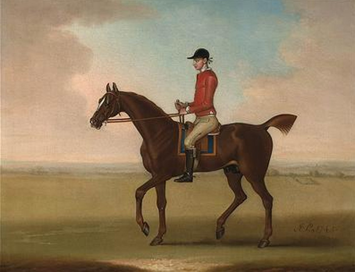 Mr John Martindales chestnut racehorse Sedbury with jockey up, 1745

Painting Reproductions