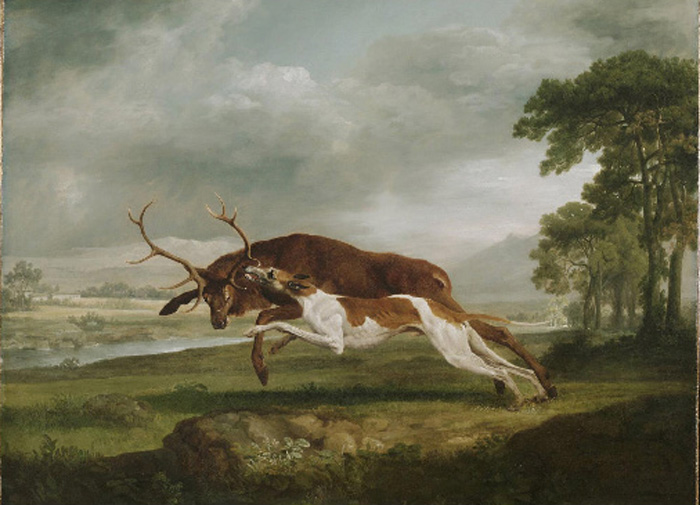 Hound Coursing a Stag, 1762

Painting Reproductions