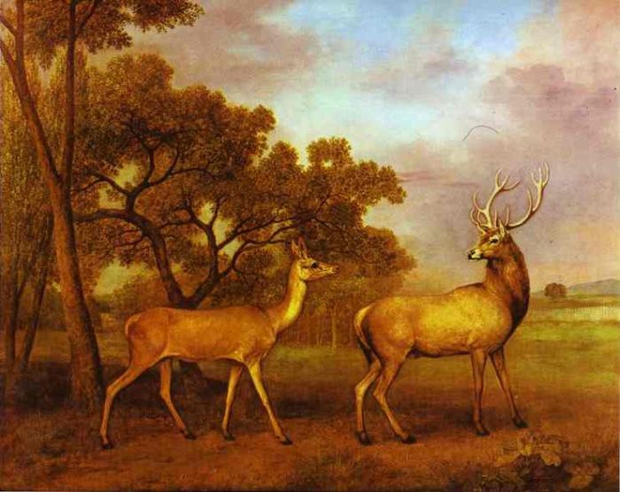 Red Deer Stag and Hind, 1972

Painting Reproductions