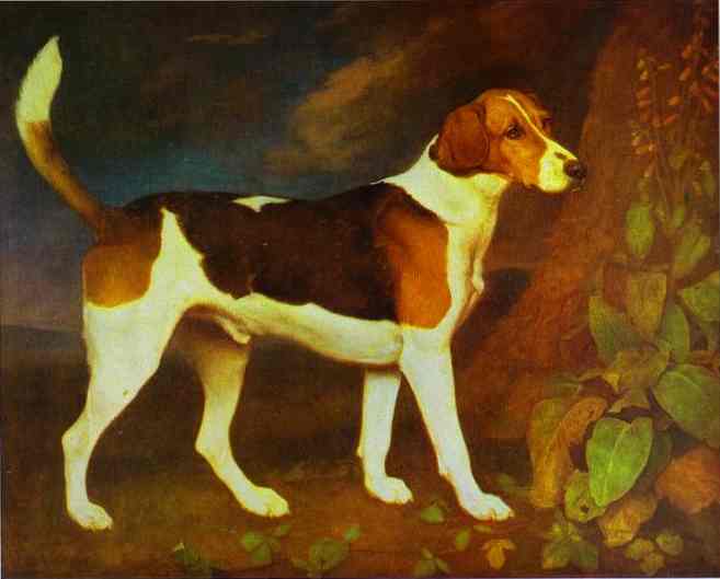 A Foxhound, Ringwod, 1972

Painting Reproductions