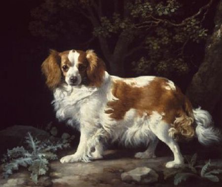 King Charles Spaniel, 1776

Painting Reproductions