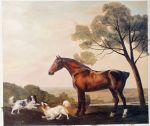  G. Stubbs Oil Paintings Reproductions