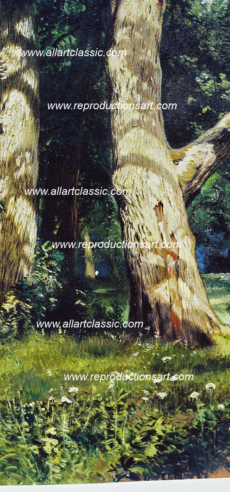 Shishkin_painting_007N_A Reproductions Painting-Zoom Details