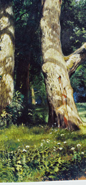 Oil Paintings Reproductions Ivan Shishkin