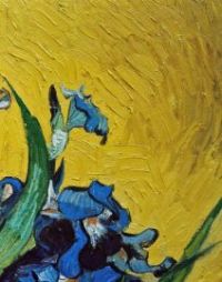 Oil Paintings Reproductions Vincent Van Gogh Paintings