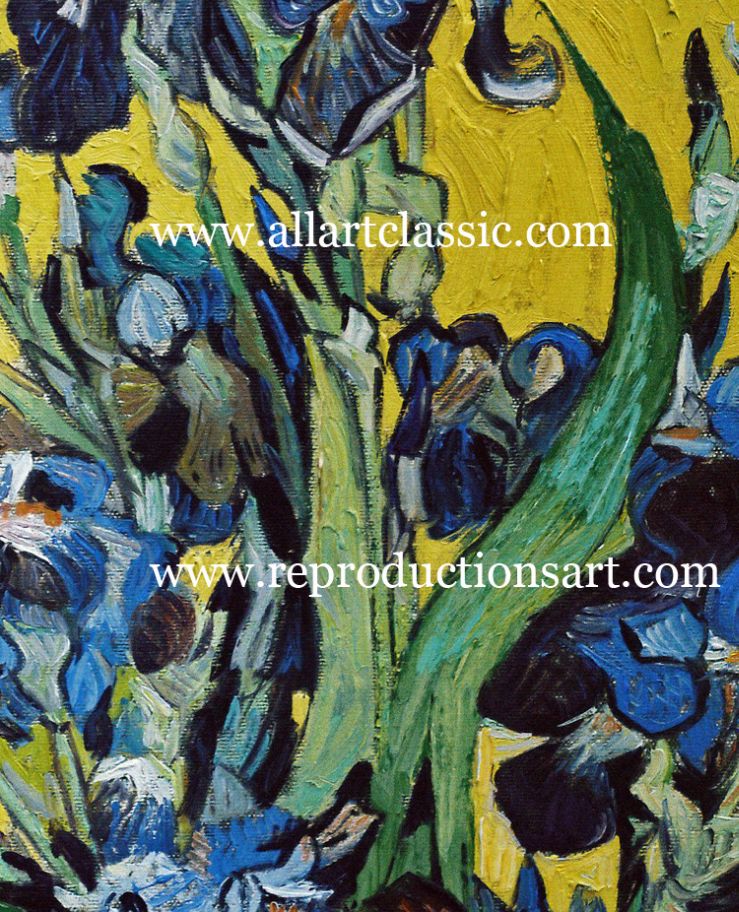 Van-Gogh-Irises_1_C Reproductions Painting-Zoom Details