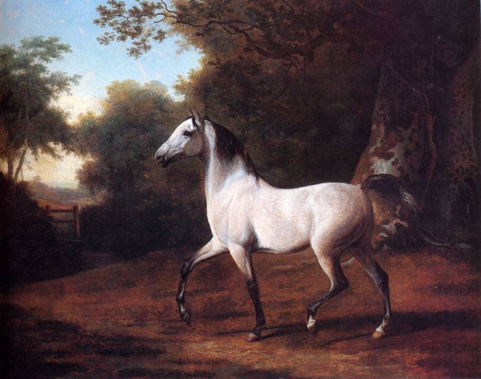 A Grey Arab Stallion In A Wooded Landscape

Painting Reproductions