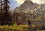 Call of the Wild 	
Art Reproductions