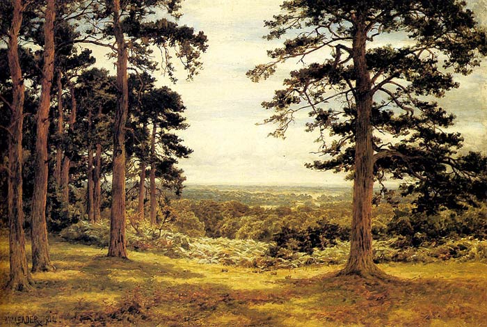 A Peep Through The Pines, 1914

Painting Reproductions