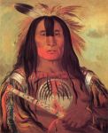 Buffalo Bull's Back Fat, Head Chief, Blood Tribe, 1832
Art Reproductions