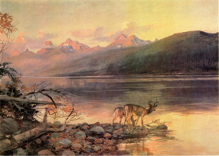 Deer at Lake McDonald, 1908

Painting Reproductions