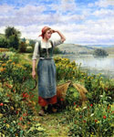 A Field of Flowers
Art Reproductions