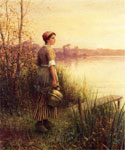 The Golden Sunset
Art Reproductions
