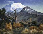 Custom Painting
Art Reproductions