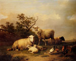 Sheep With Resting Lambs And Poultry In A Landscape, 1864
Art Reproductions