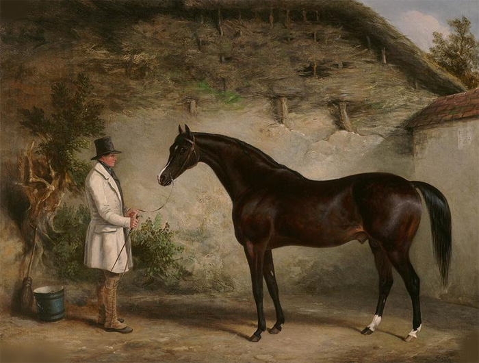 Mr John Barham Day's dark bay horse 'Venison' with a groom , 1845

Painting Reproductions