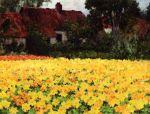 Yellow Nasturtiums
Art Reproductions