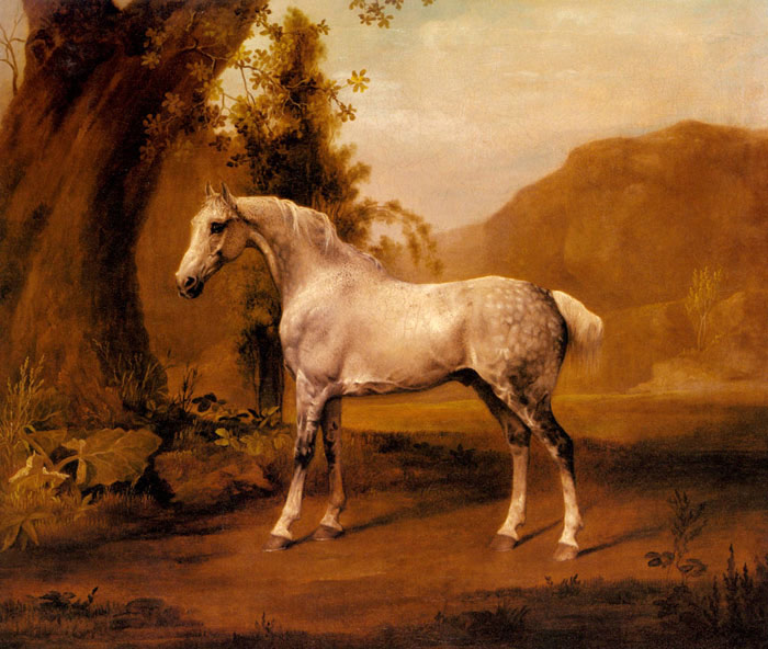 A Grey Stallion In a Landscape, c.1765

Painting Reproductions