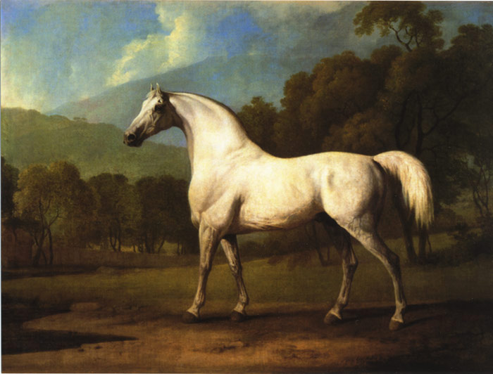 Paintings Stubbs  George