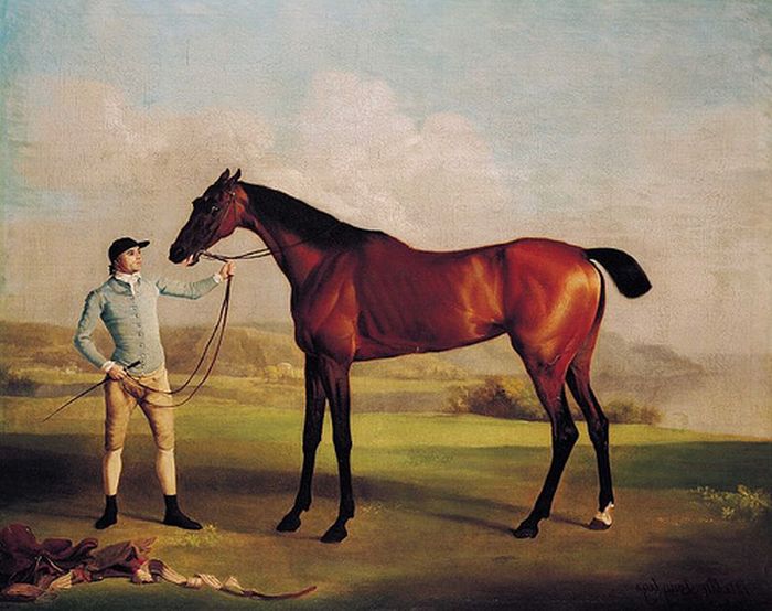 Molly Longlegs, 1762

Painting Reproductions