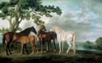 Mare and Foals in a River Landscape, 1763
Art Reproductions