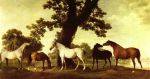 Horses in a Landscape, 1760
Art Reproductions