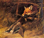 Returning to the Fox's  Lair
Art Reproductions